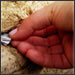 Western Wall