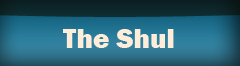 Theshul the shul copy.jpg