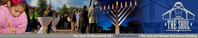 The Shul Banner.jpg